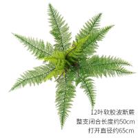 XU0610798